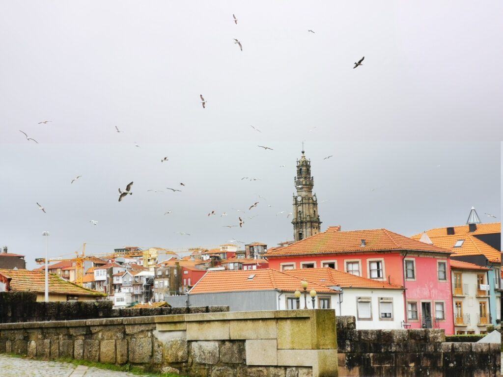 Seagulls over Porto