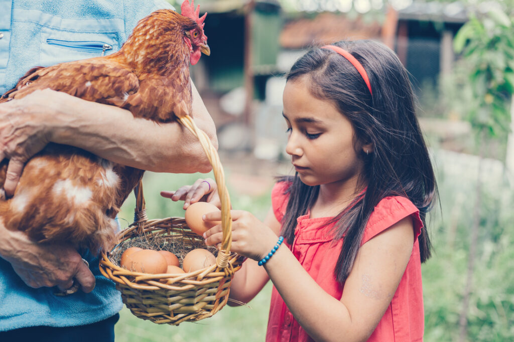 Curiosidades sobre los huevos