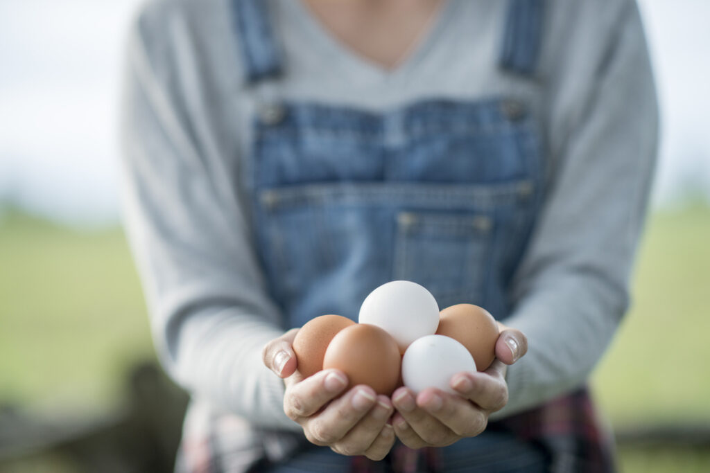 Curiosidades sobre los huevos