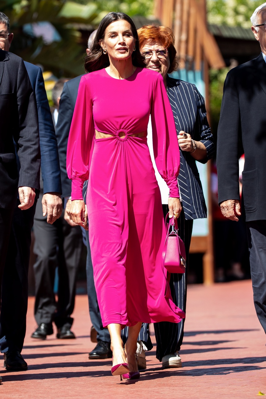 Letizia préside l'événement de la Journée mondiale de la Croix-Rouge