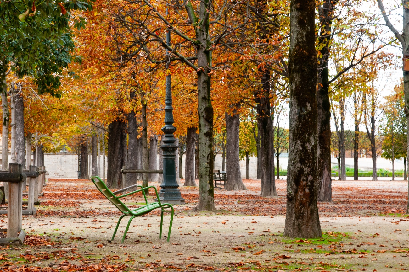 Les jardins des Tuileries