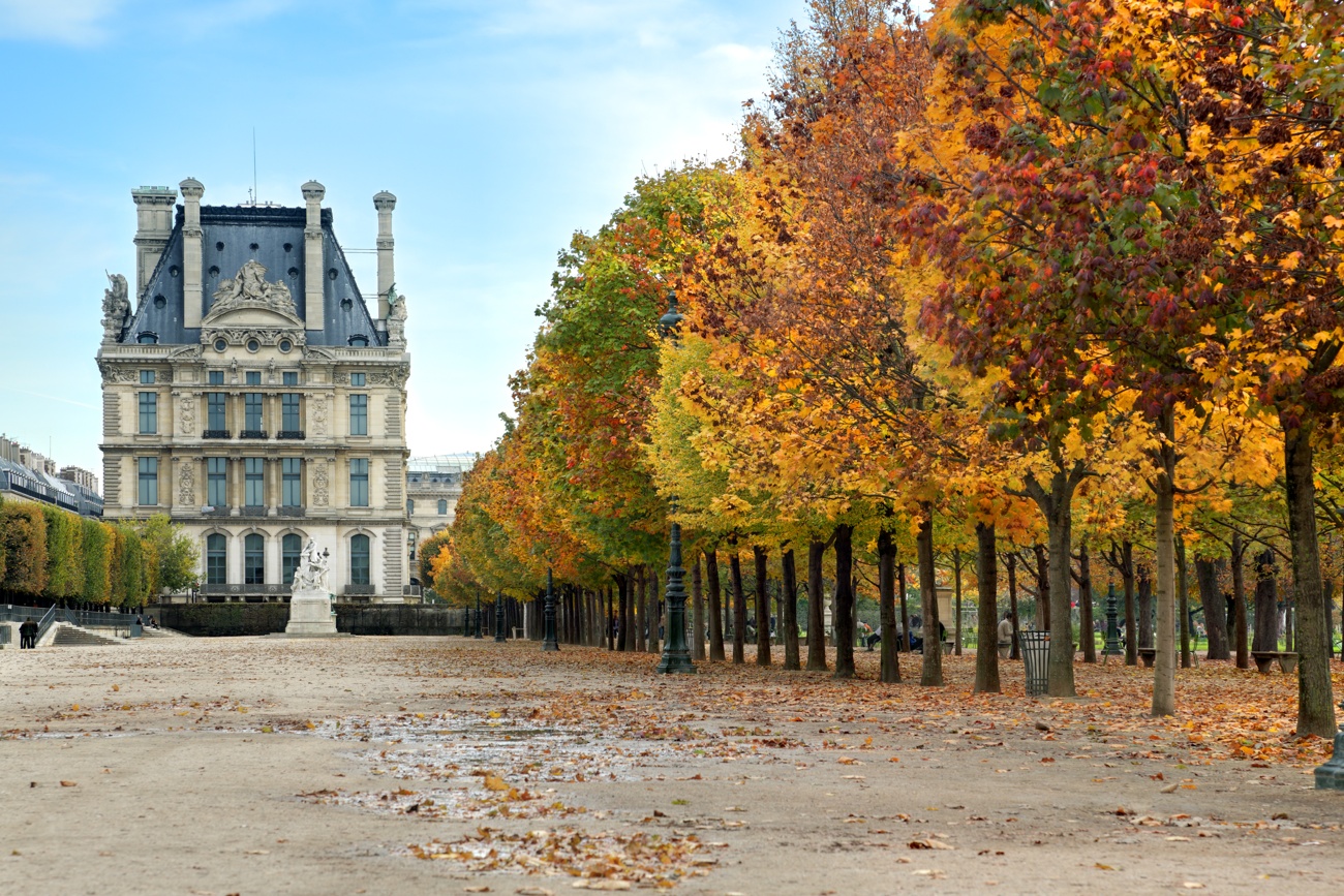 Musée du Louvre