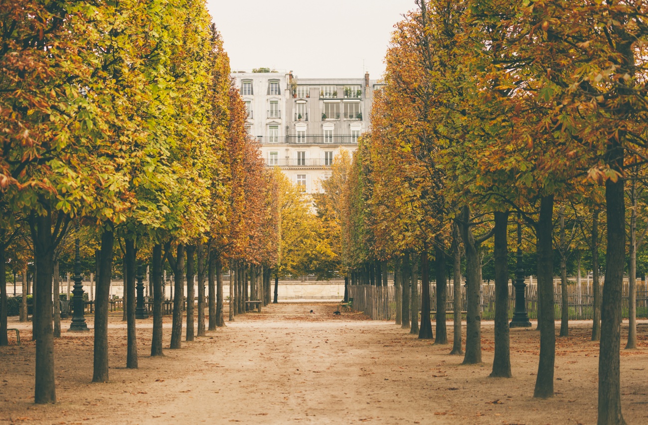 The Tuileries Gardens