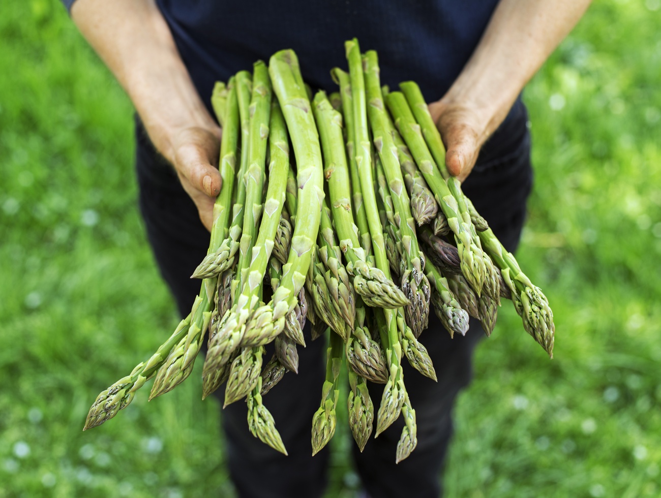 Asparagus can be eaten and cooked in different ways