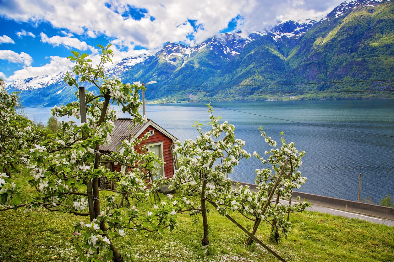 Hardanger Fjord (Norway)