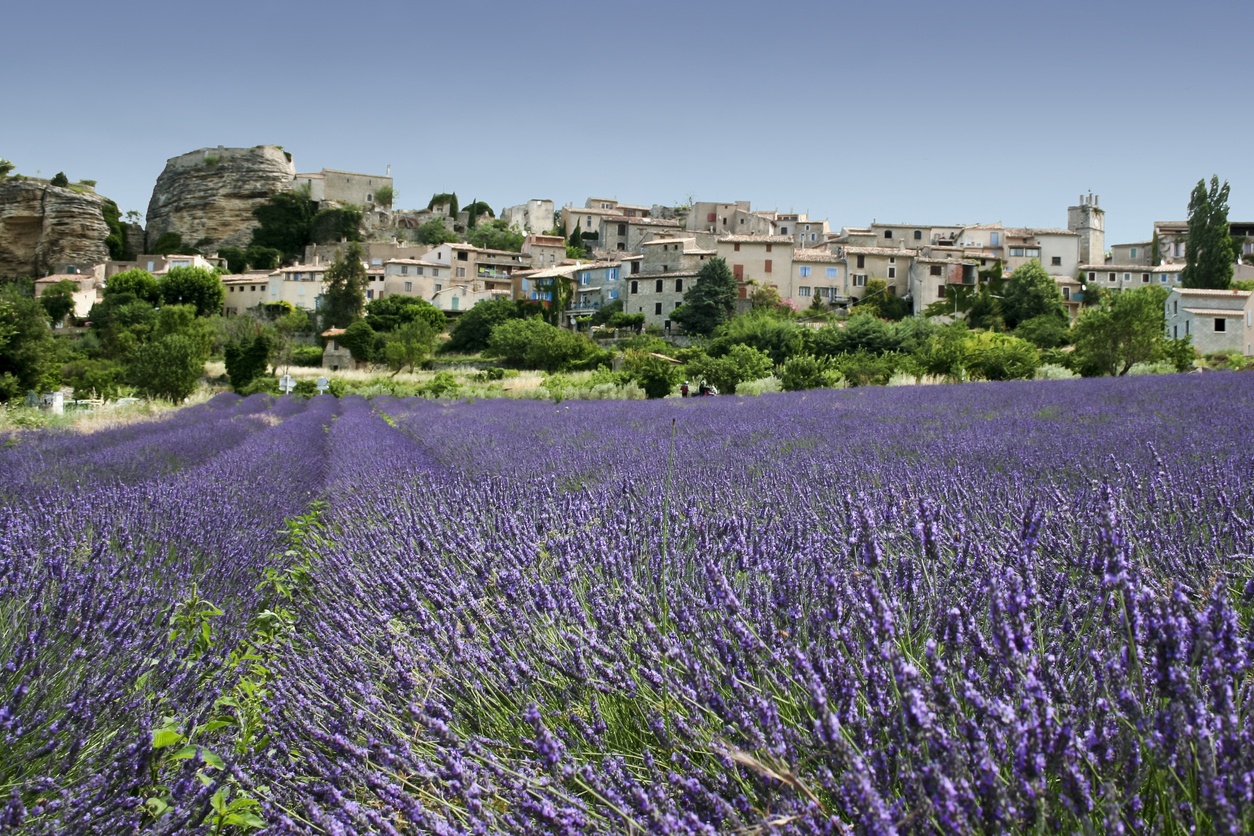 Grasse (France)