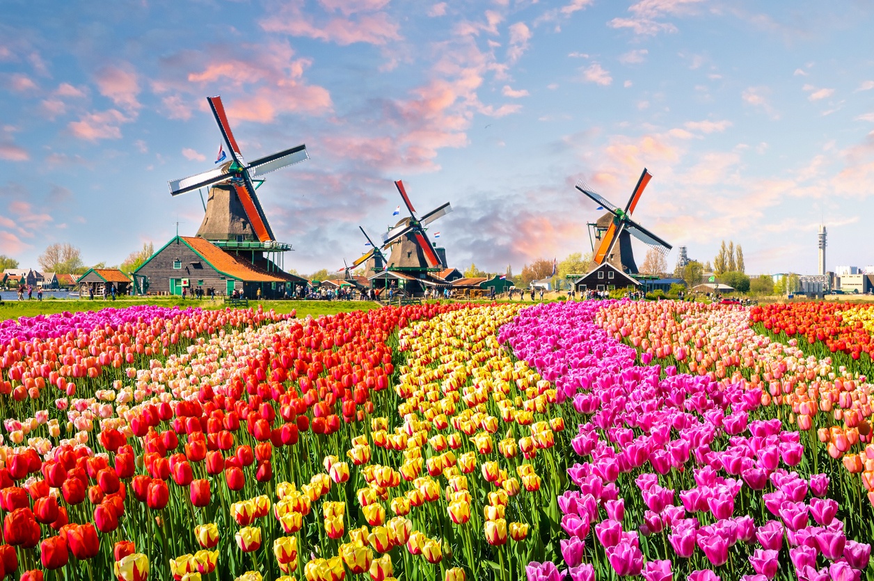 Keukenhof (Netherlands)