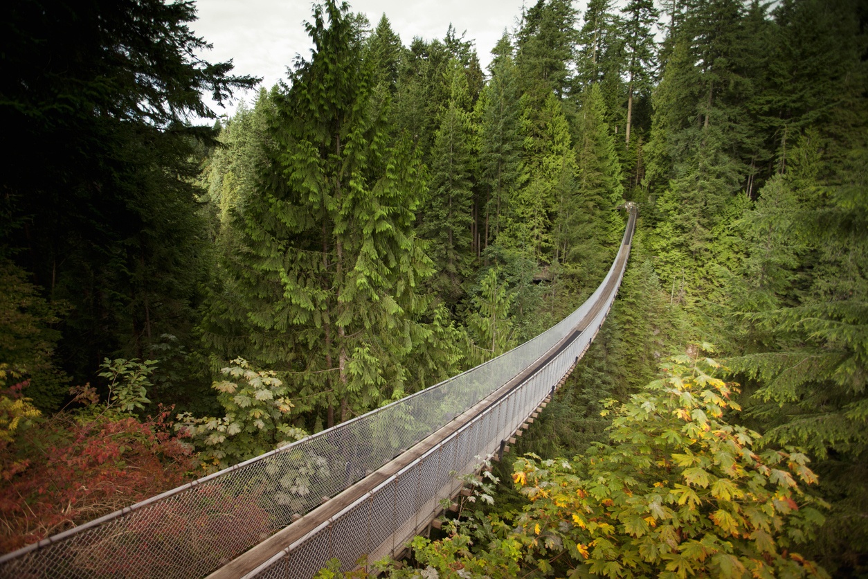 Meet 10 exceptional bridges that will leave you with your mouth wide open