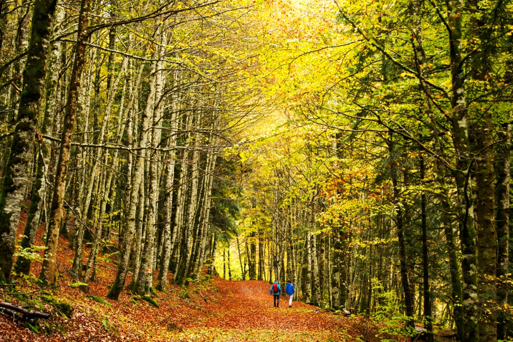 10 lugares en España perfectos para disfrutar del otoño
