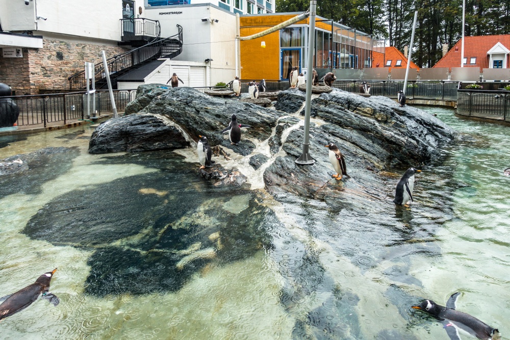 Acuario de Bergen, Noruega