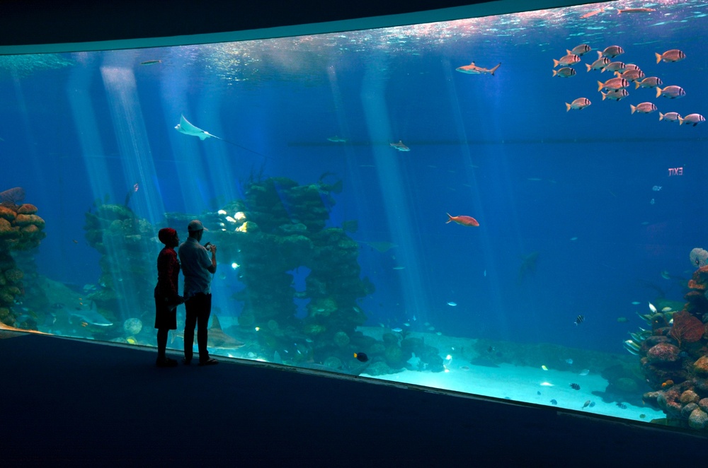 Parque Marino del Observatorio Submarino, Israel