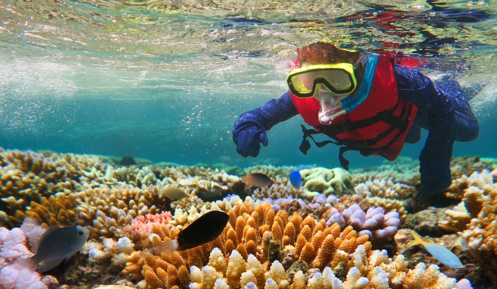 Bucear en la Gran Barrera de Coral en Australia