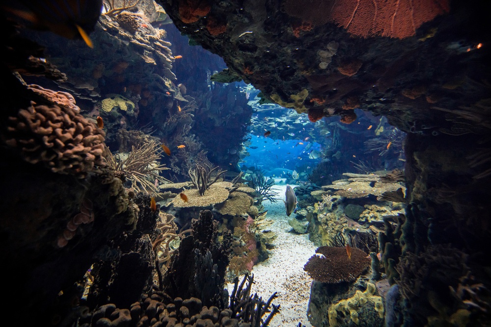 Oceanario de Lisboa, Portugal