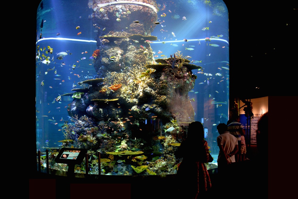 S.E.A. Aquarium en Singapur