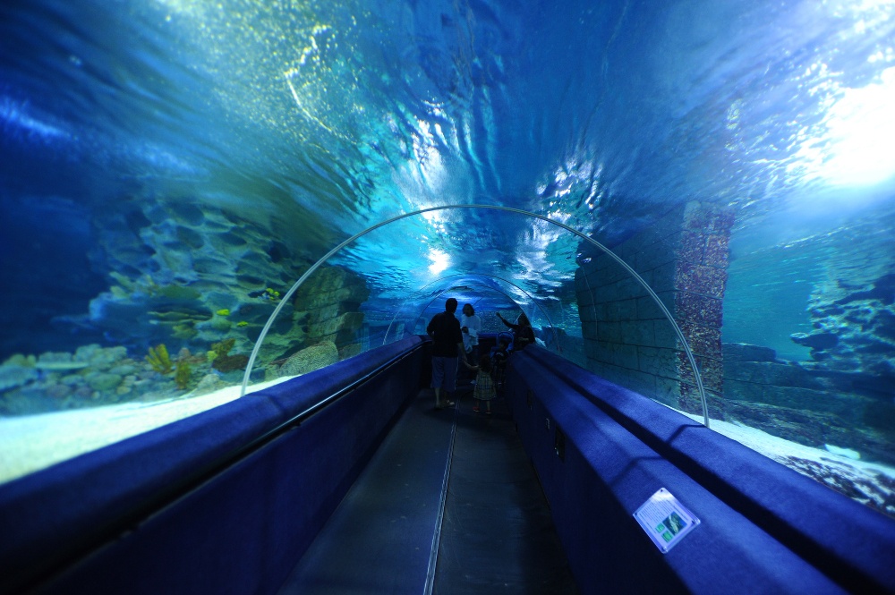 Sea Life Stambul, Turquía