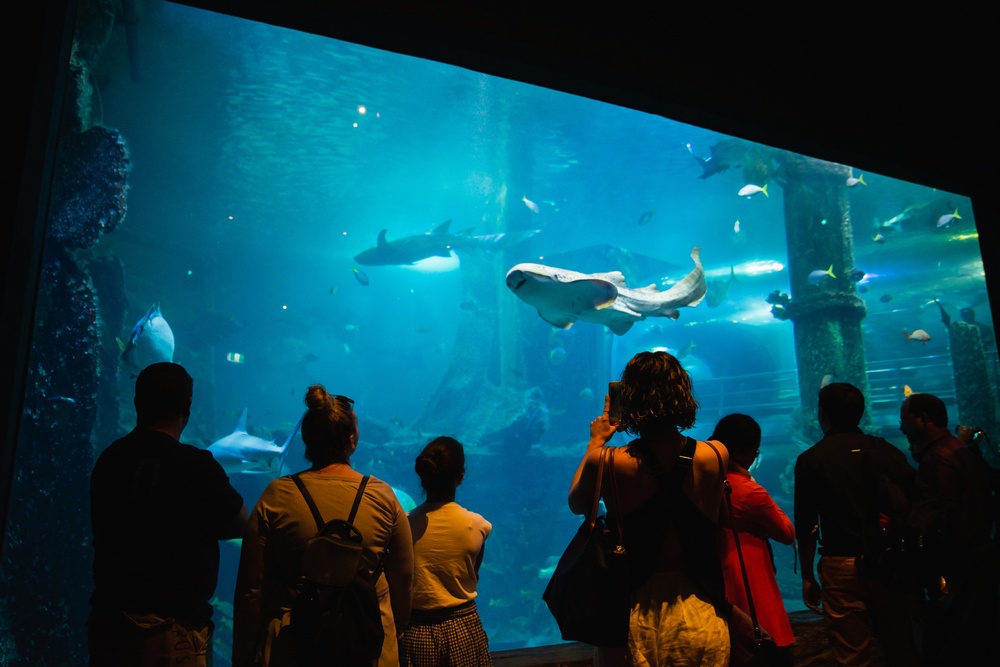 Acuario Sea Life Melbourne, Australia