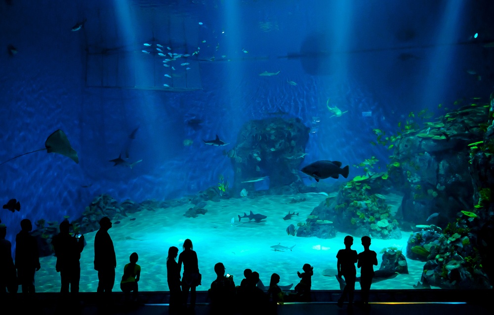 Den Blå Planet, Acuario nacional de Dinamarca