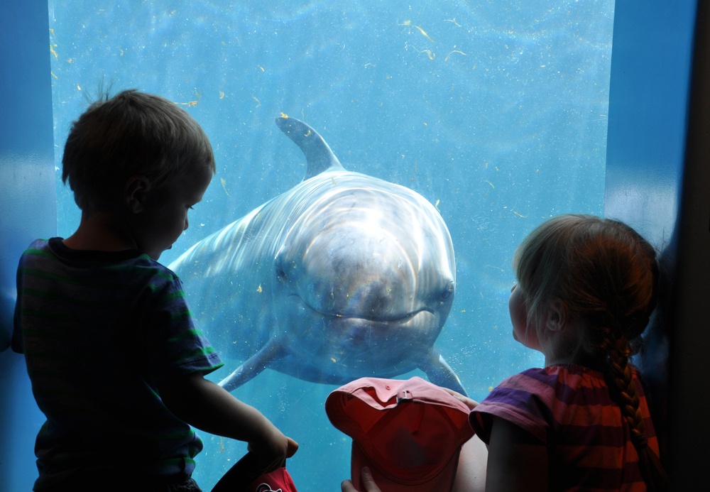 Acuario de Vancouver, Canadá