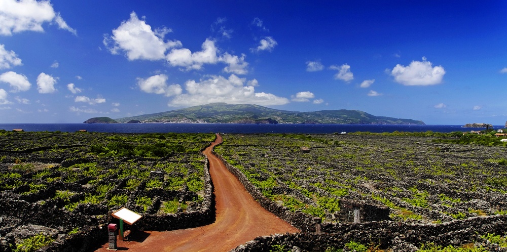 Paisaje Cultural de la Viña de la Isla de Pico en las Azores