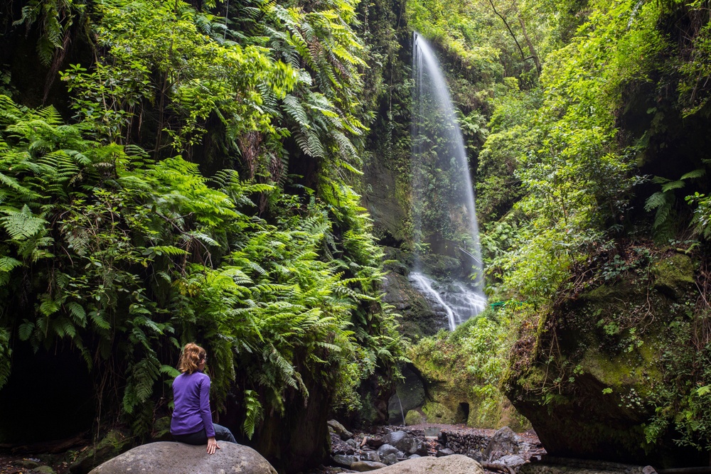 Cascada de los tilos (La Palma)