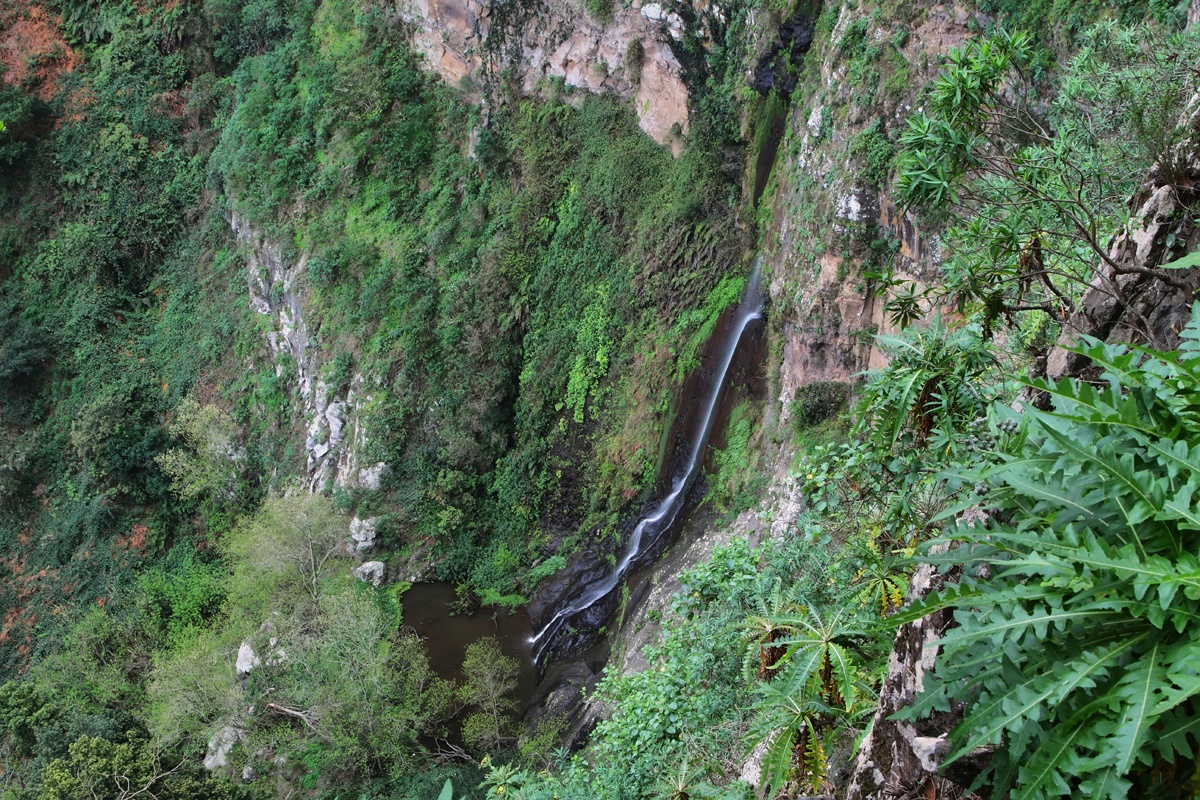 Chorro del Cedro (La Gomera)