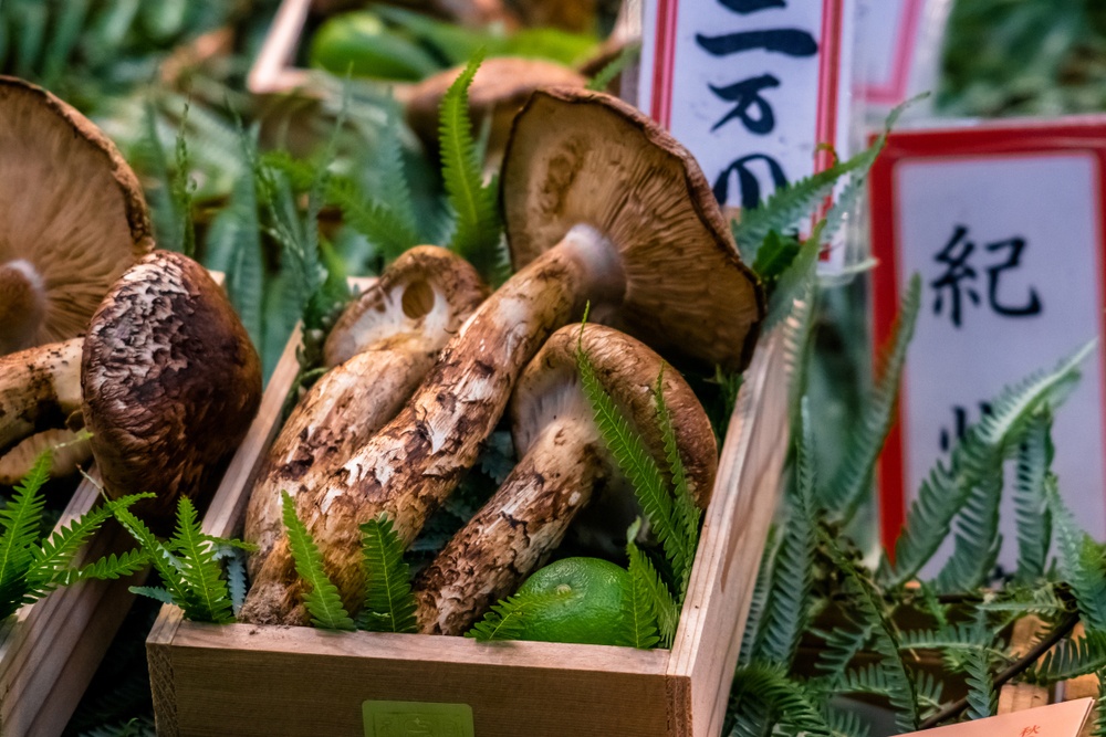 Setas matsutake