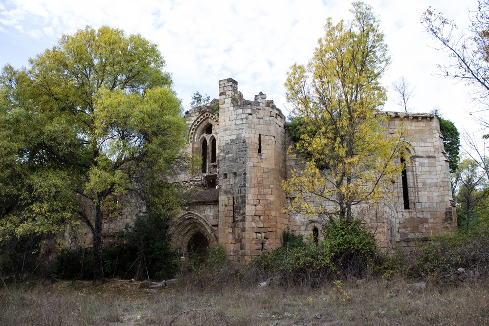 Monasterio de Santa María de Bonaval (Guadalajara)