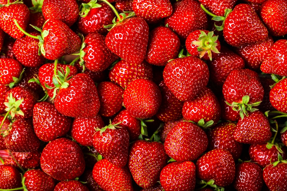 Fresas