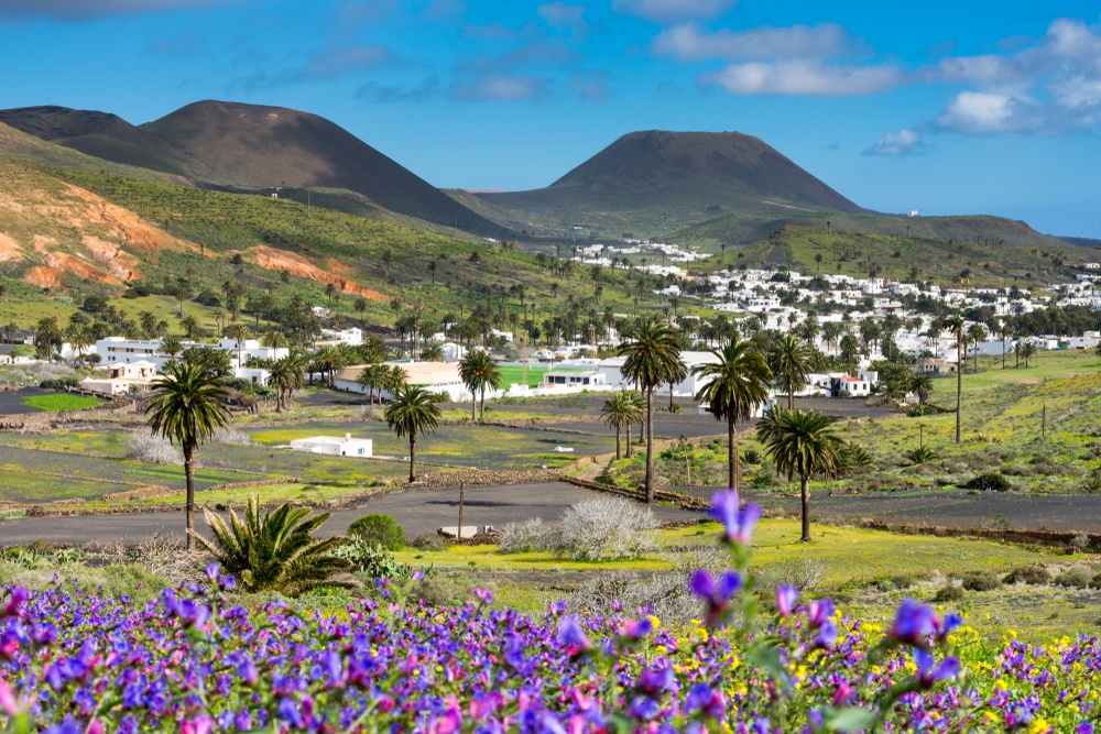 24 - Haría (Lanzarote)