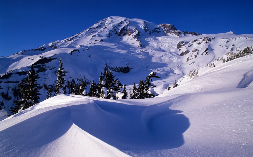 Parque Nacional del Monte Rainier (Estados Unidos)