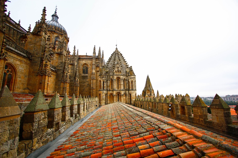 Catedral Vieja de Salamanca (España)