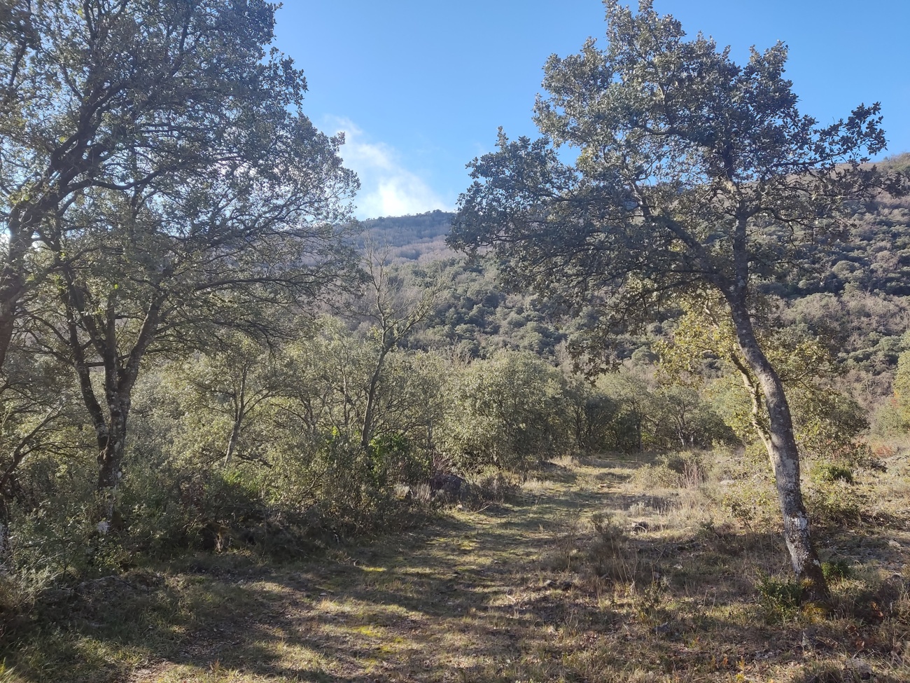 Sendero del Mancubo: naturaleza salvaje y las mejores vistas de las llanuras de Miranda de Ebro