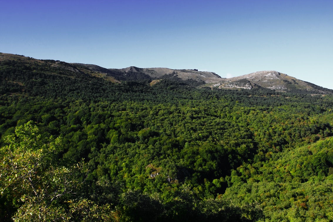 Agua y Roca: del Ebro a los Obarenes